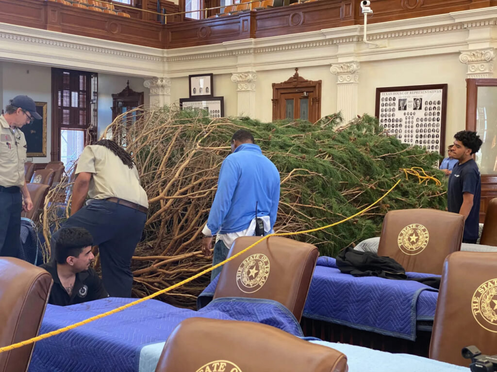 Texas movers bringing a tree into the House Chamber.