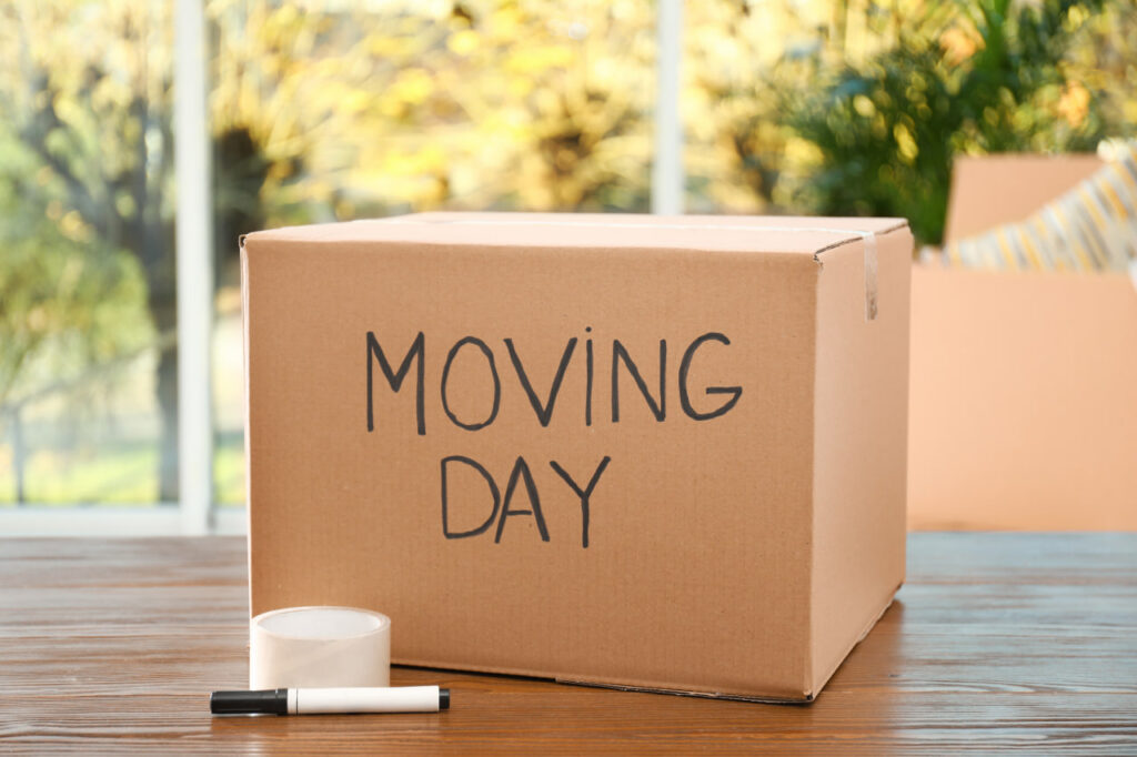 A box marked “moving day” packed with essentials is one of our cost-effective moving strategies.
